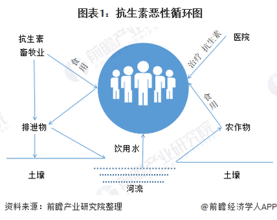 2020年我国饲料抗生素替代品市场发展趋势分析 国家加快禁用步伐 抗生素替代品迎来机会【组图】