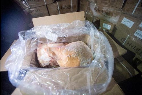 阳逻港首批进口肉类产品江海直达查验通关入境