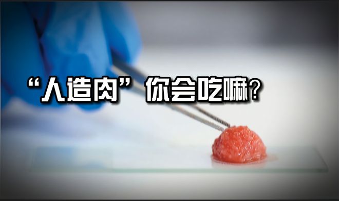 它是传统肉类的完美替代品,还是名不副实的骗人把戏?科普人造肉